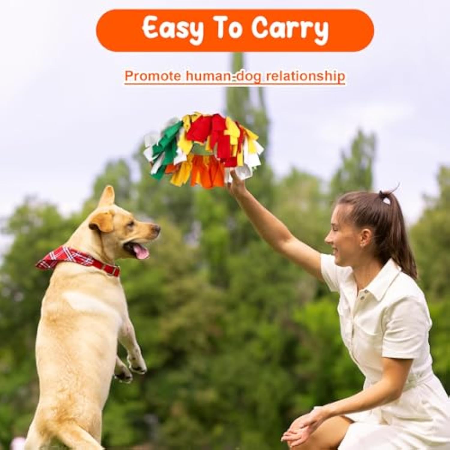 KFX-4964157 Rainbow Polar Fleece Flying Disc Dog Toy for Sniffing and Interactive Play