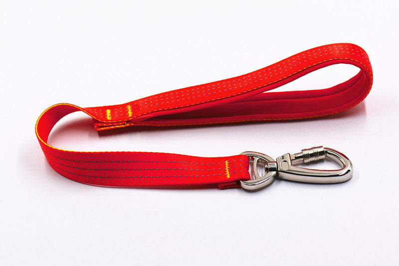 KFX-4964285 Durable Nylon Dog Leash with Stainless Steel Buckle for Large Breeds