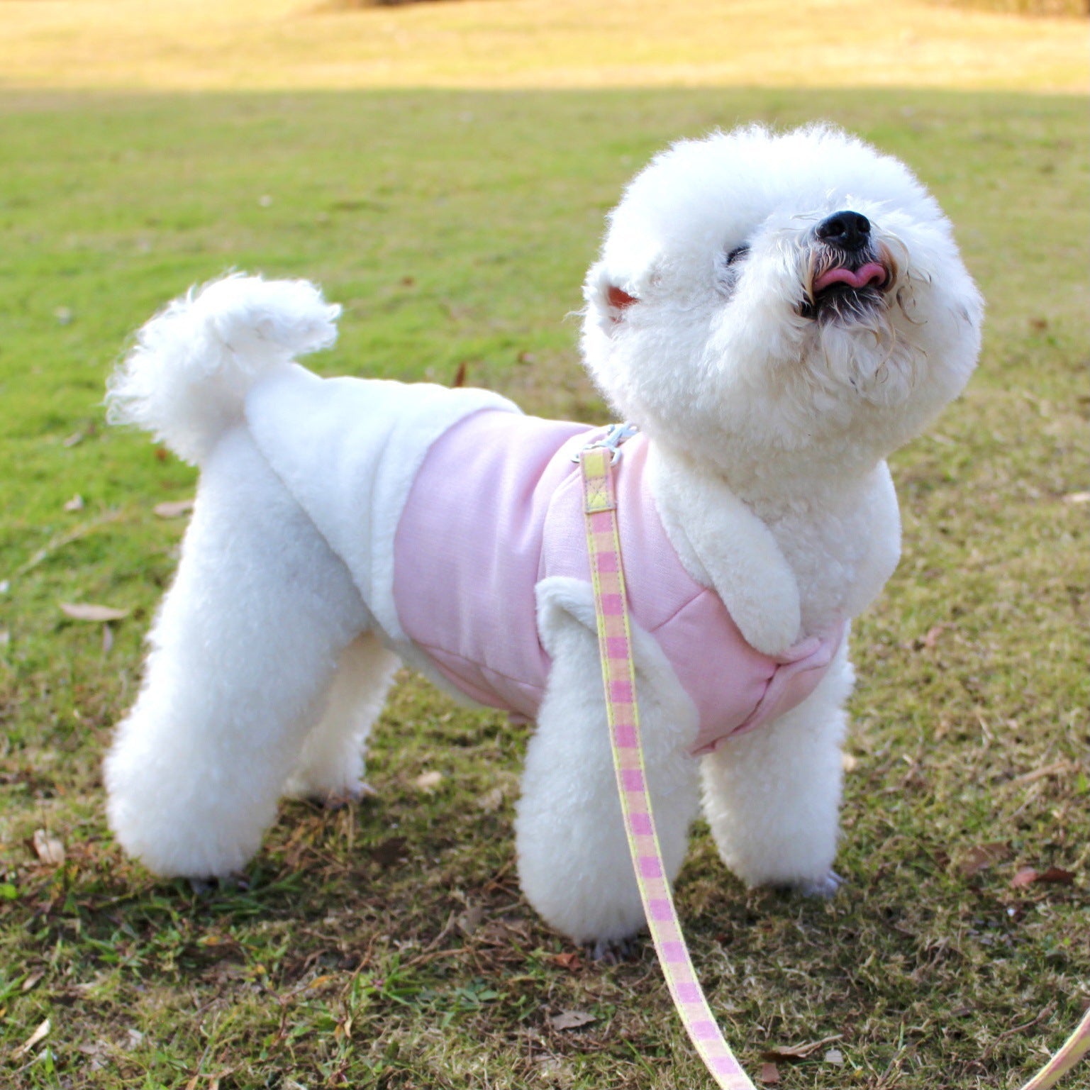 KFX-4968637 Warm Plush Dog Vest with Fur Collar - Soft, Comfortable Pet Clothing in Pink, Navy Blue, Gray, Sizes S-XL