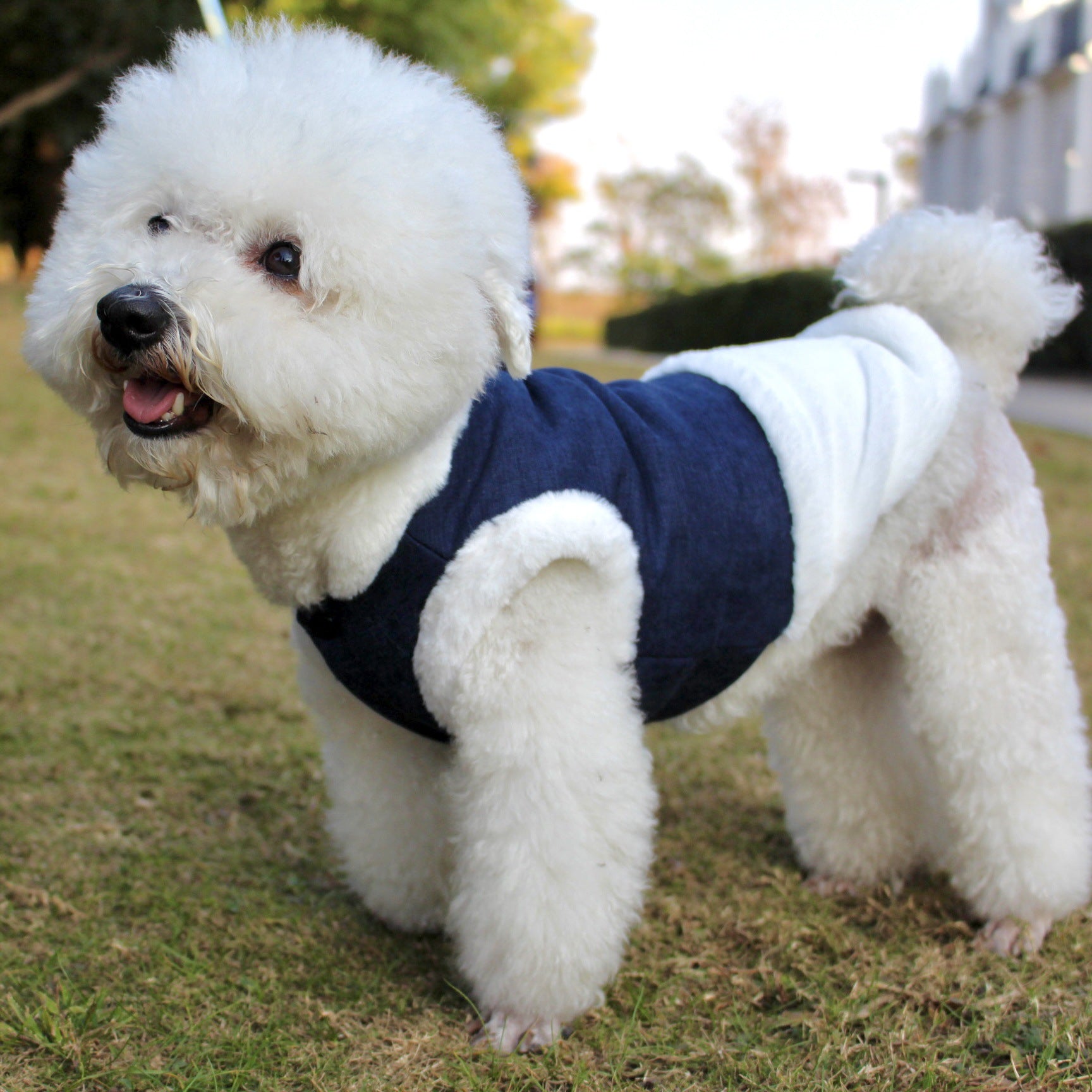 KFX-4968637 Warm Plush Dog Vest with Fur Collar - Soft, Comfortable Pet Clothing in Pink, Navy Blue, Gray, Sizes S-XL