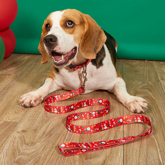 KFX-4970045 Christmas-Themed Pet Collar and Leash Set - Red and Green Polyester Options