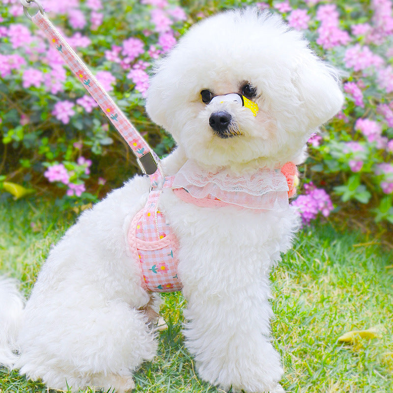 KFX-4975805 Small Dog Vest with Traction Belt and Leash in Multiple Colors