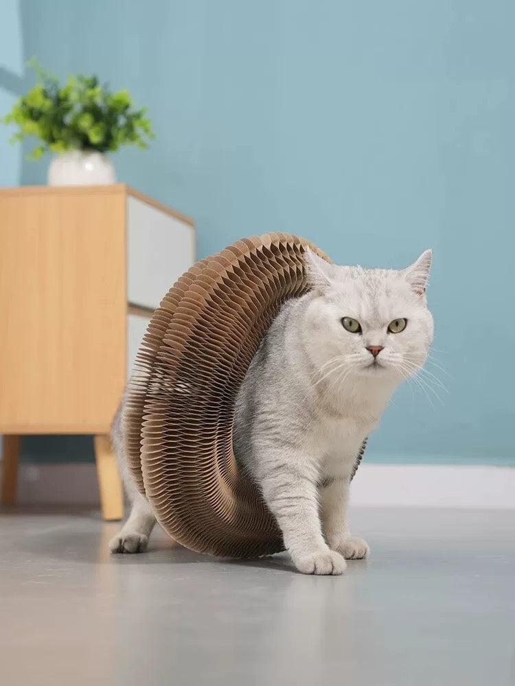 KFX-4976189 Foldable Cat Scratcher Toy for Relaxation and Play - Compact Design