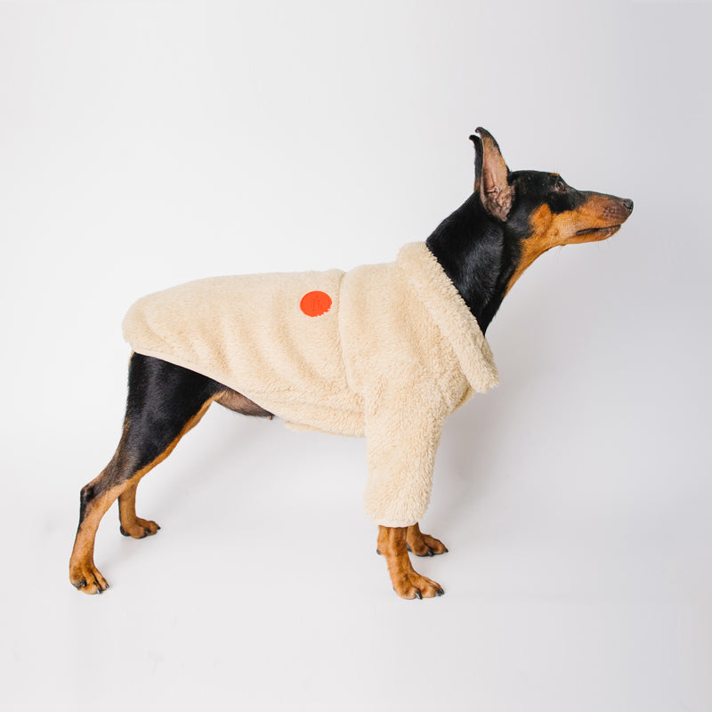 KFX-4976573 Lapel Flannelette Cotton Suit for Small and Medium Dogs in Green Khaki