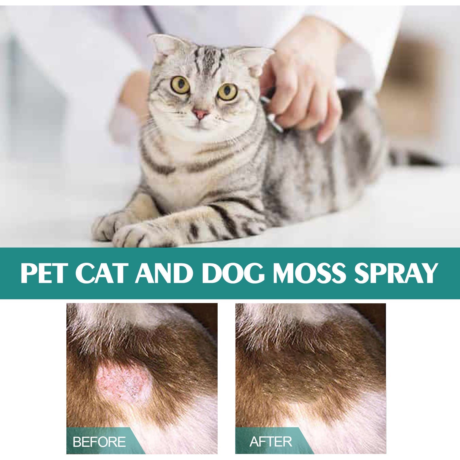 KFX-4977853 Pet Skin Relief Spray for Cats and Dogs - Anti-Itching and Mite Removal, 30ml