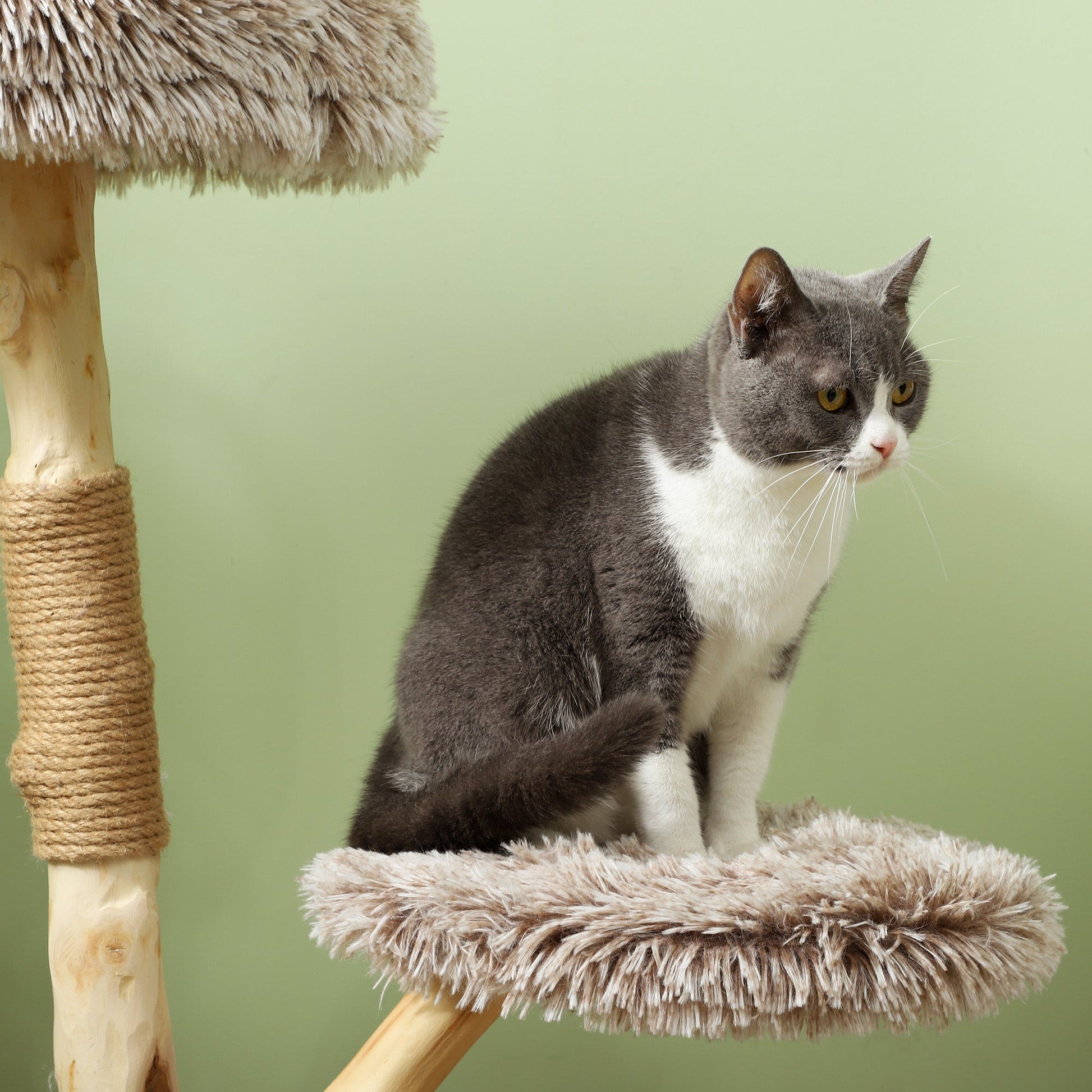 KFX-4979261 35-Inch Indoor Cat Tree with Wooden Scratching Posts, Plush Cat Bed, and Rope Toy in Brown