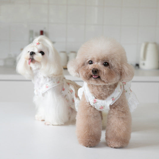 KFX-4983357 Floral Lace Dog Skirt - Cotton Dress for Small Dogs in Multiple Sizes