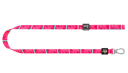 KFX-4985533 Durable Polyester Fiber Leash for Small, Medium, and Large Dogs with Strong Zinc Alloy Hardware