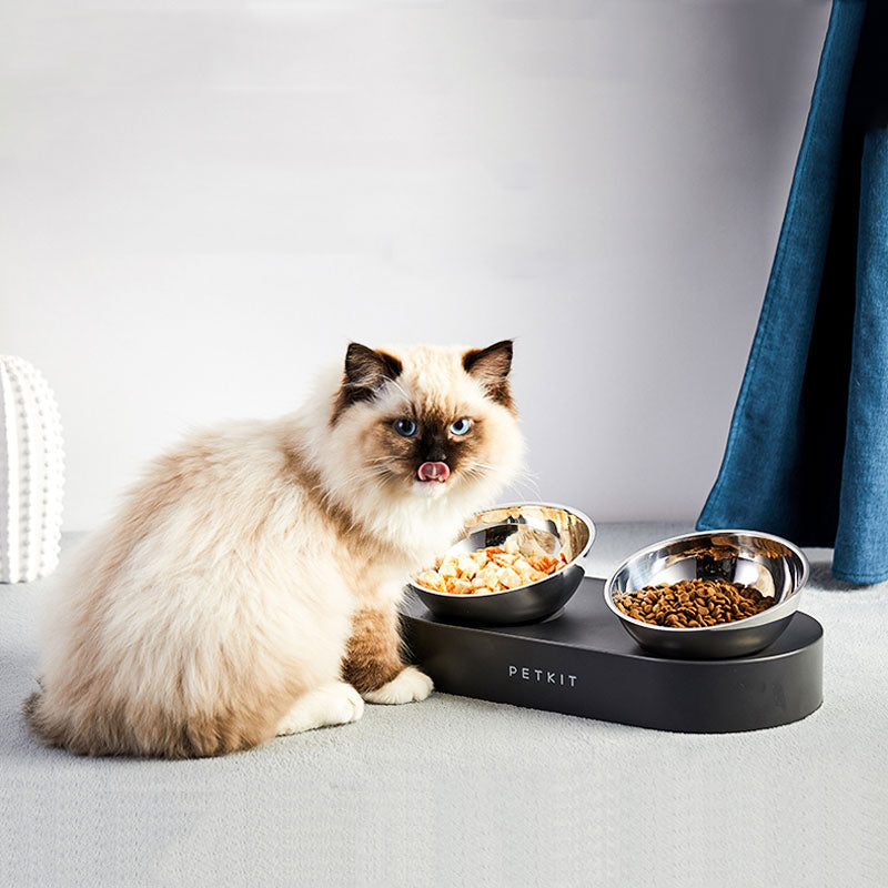KFX-4987709 Adjustable Elevated Stainless Steel Pet Feeding Bowl with Anti-Slip Design