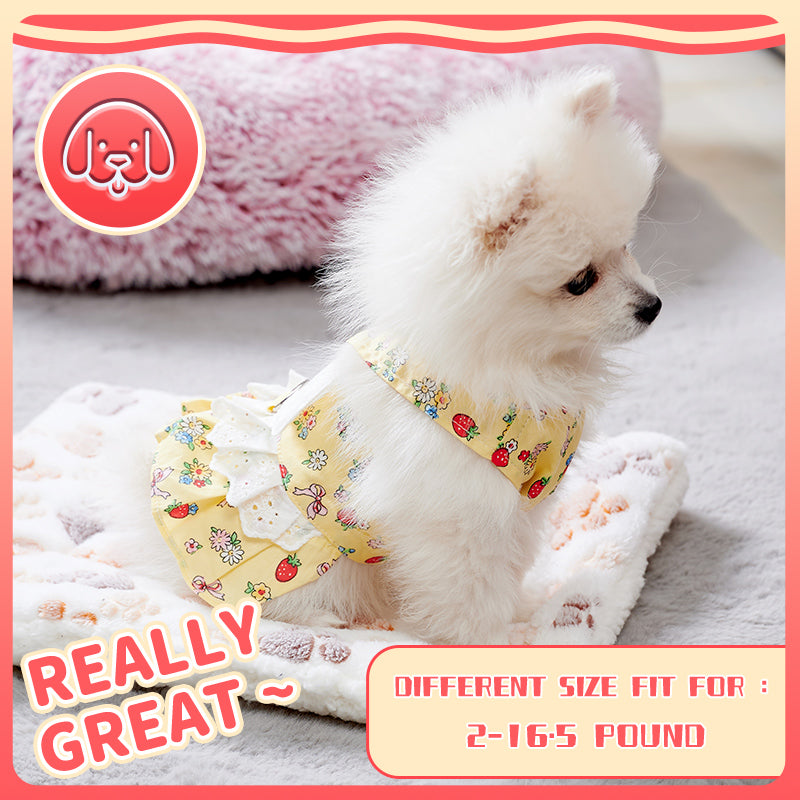 KFX-4988989 Cute Angel Wings Dog Harness Dress and Leash Set for Small Breeds