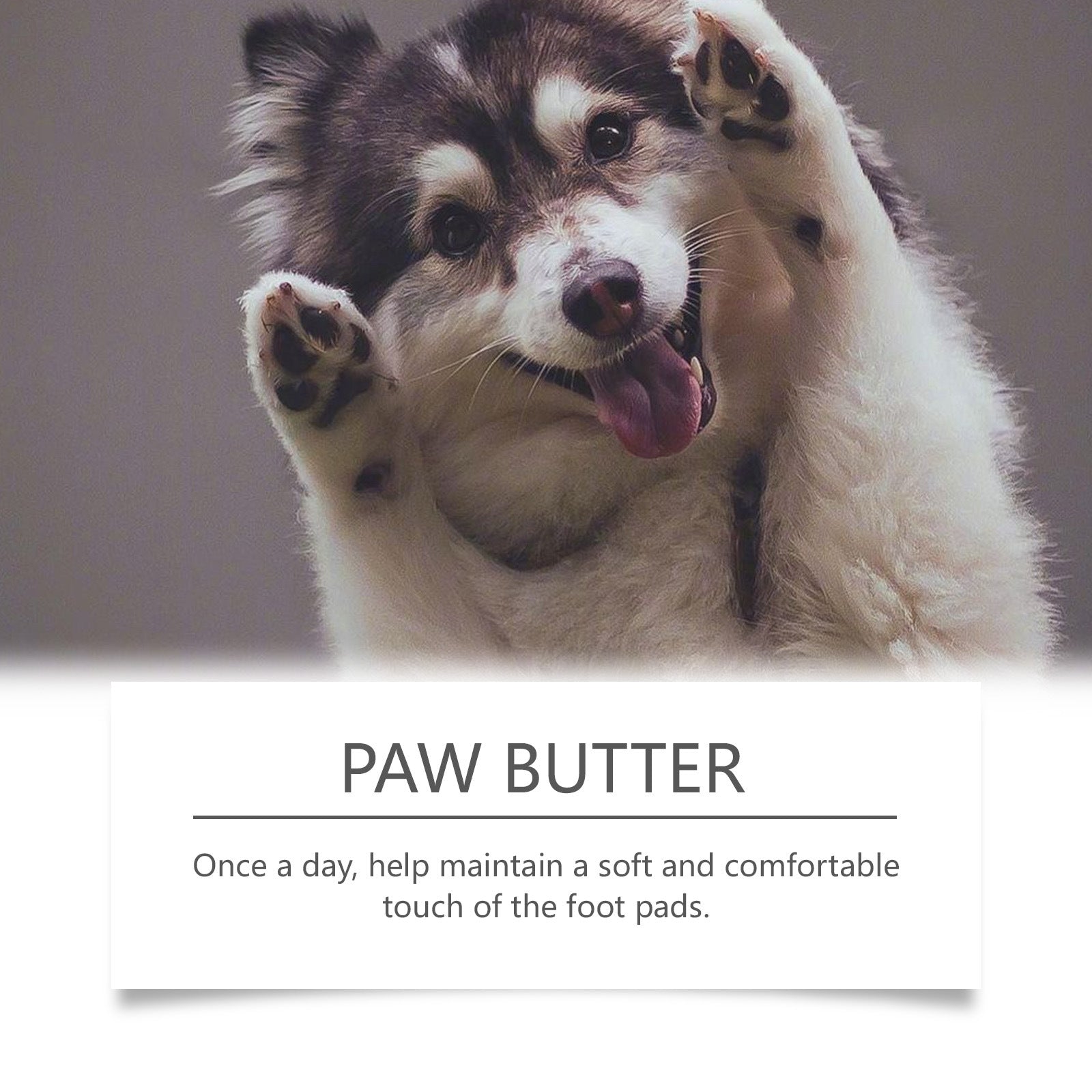 KFX-4989373 Dog Paw Moisturizing Cream for Soothing and Care - 30g