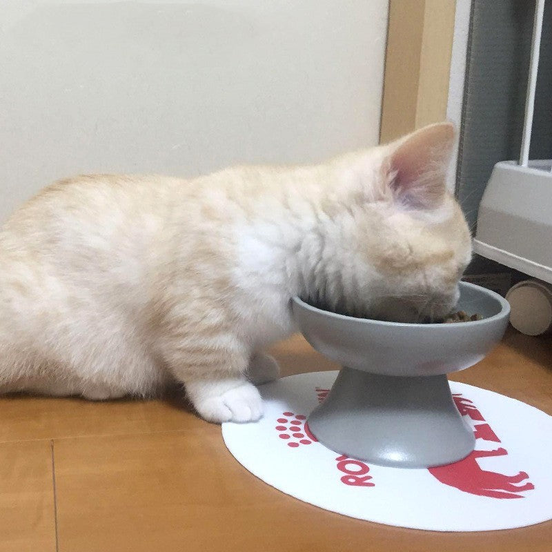 KFX-4997437 Elevated Ceramic Cat Bowl in Ice Cream Solid Colors for Cervical Support
