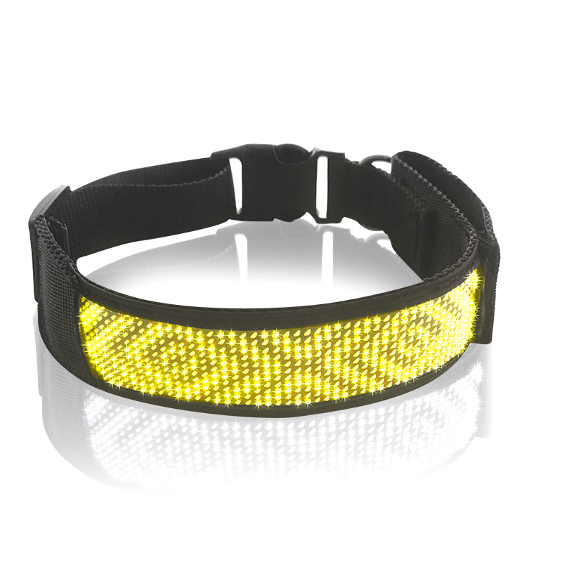 KFX-5004989 LED Luminous Pet Collar with Mobile App Control and Multiple Display Modes