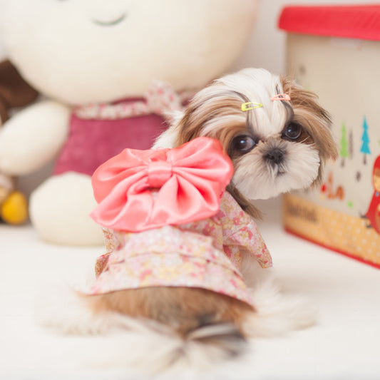 KFX-5012925 Stylish Pet Kimono for Dogs - Spring and Summer Apparel in Multiple Sizes