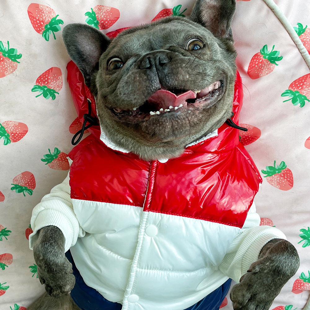 KFX-5013181 Three-Color Cotton-Padded Pet Vest for Autumn and Winter - Sizes XS to 2XL