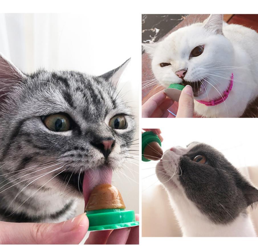 KFX-5014717 Cat Sugar Licking Treats - Catnip Candy for Playful Kitties, 12g Pack