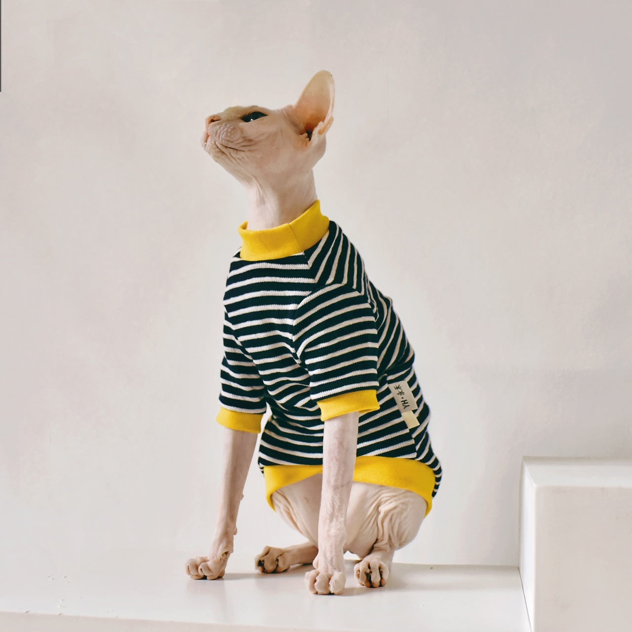KFX-5018685 Sphinx Hairless Cat Cotton Clothing - Black, Multiple Sizes Available