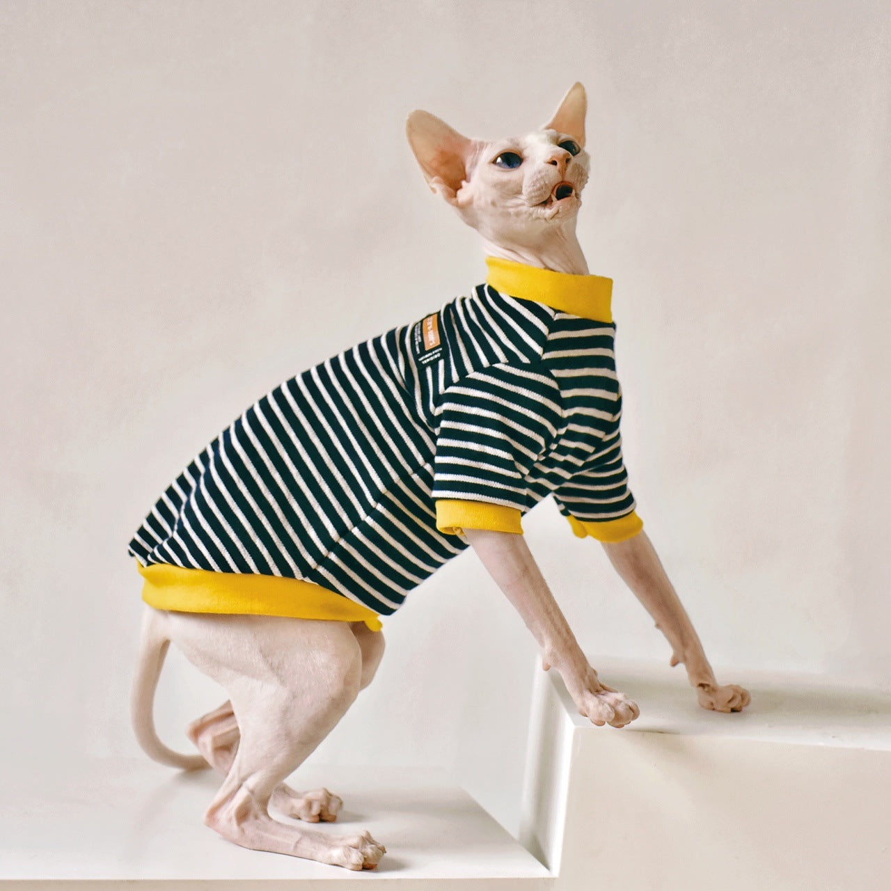 KFX-5018685 Sphinx Hairless Cat Cotton Clothing - Black, Multiple Sizes Available