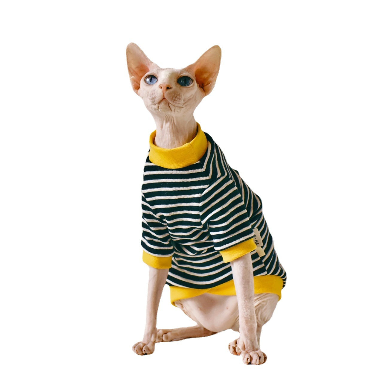 KFX-5018685 Sphinx Hairless Cat Cotton Clothing - Black, Multiple Sizes Available