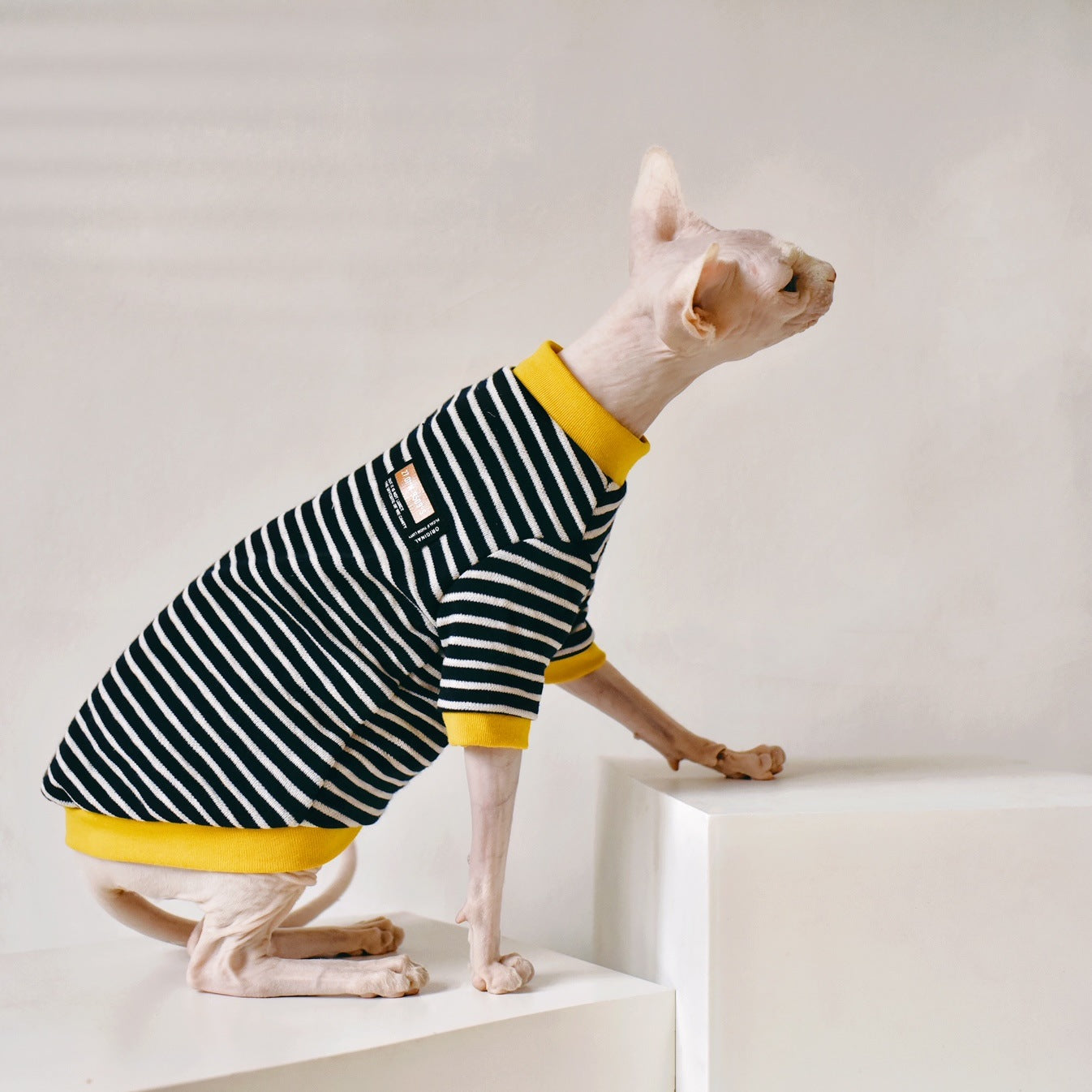 KFX-5018685 Sphinx Hairless Cat Cotton Clothing - Black, Multiple Sizes Available