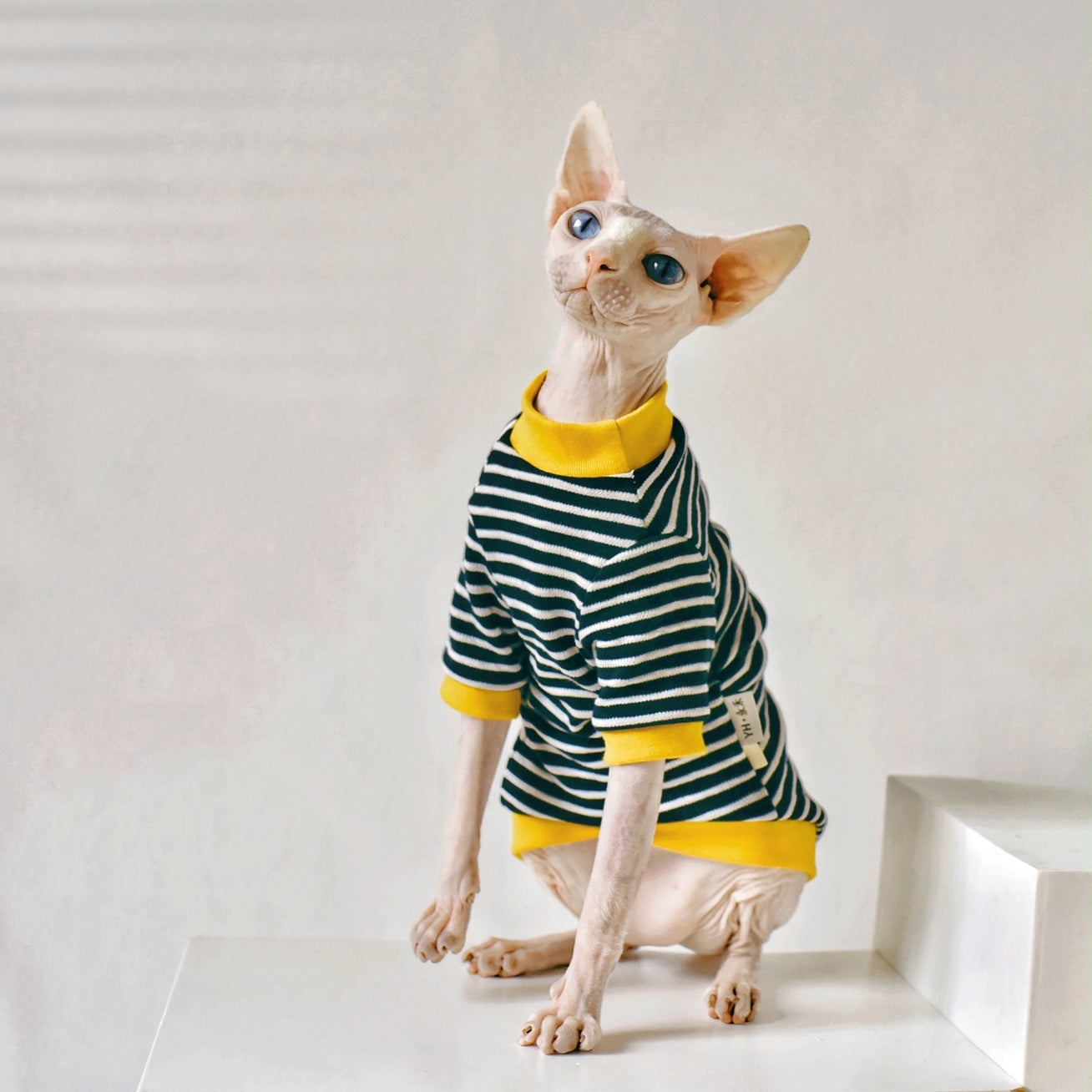 KFX-5018685 Sphinx Hairless Cat Cotton Clothing - Black, Multiple Sizes Available