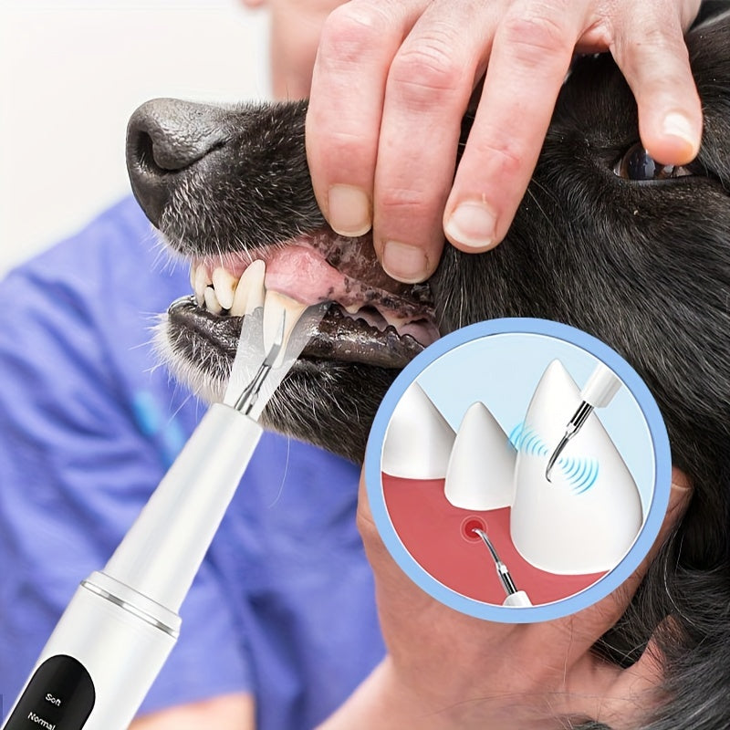KFX-5021757 Electric Tooth Cleaner for Pets with 2 Cleaning Heads and USB Charger Kit for Dental Care
