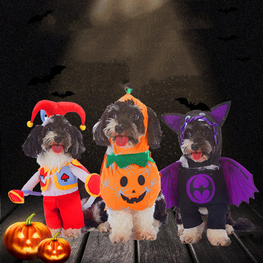 KFX-5030589 Colorful Universal Pet Clothes - Multiple Designs Available in S, M, L, XL Sizes