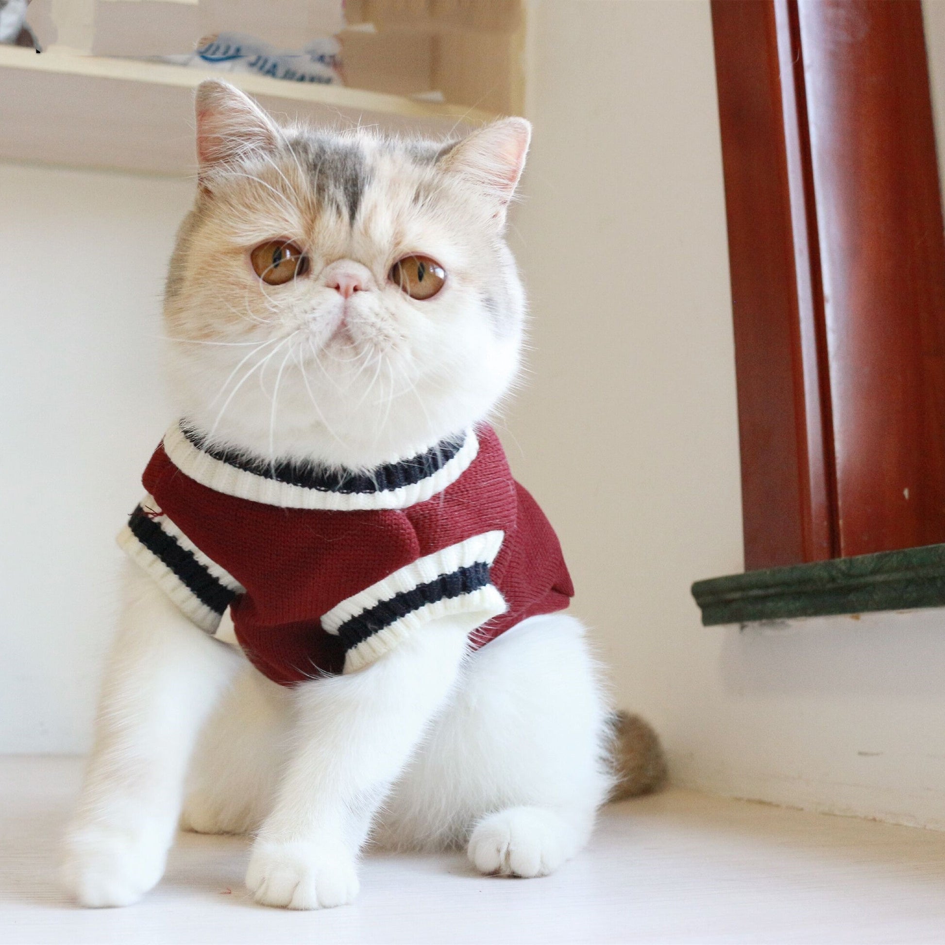 KFX-5041341 Fashionable Fleece Cat Knit Sweater Vest in Green, Khaki, and Wine Red – Sizes S to 3XL