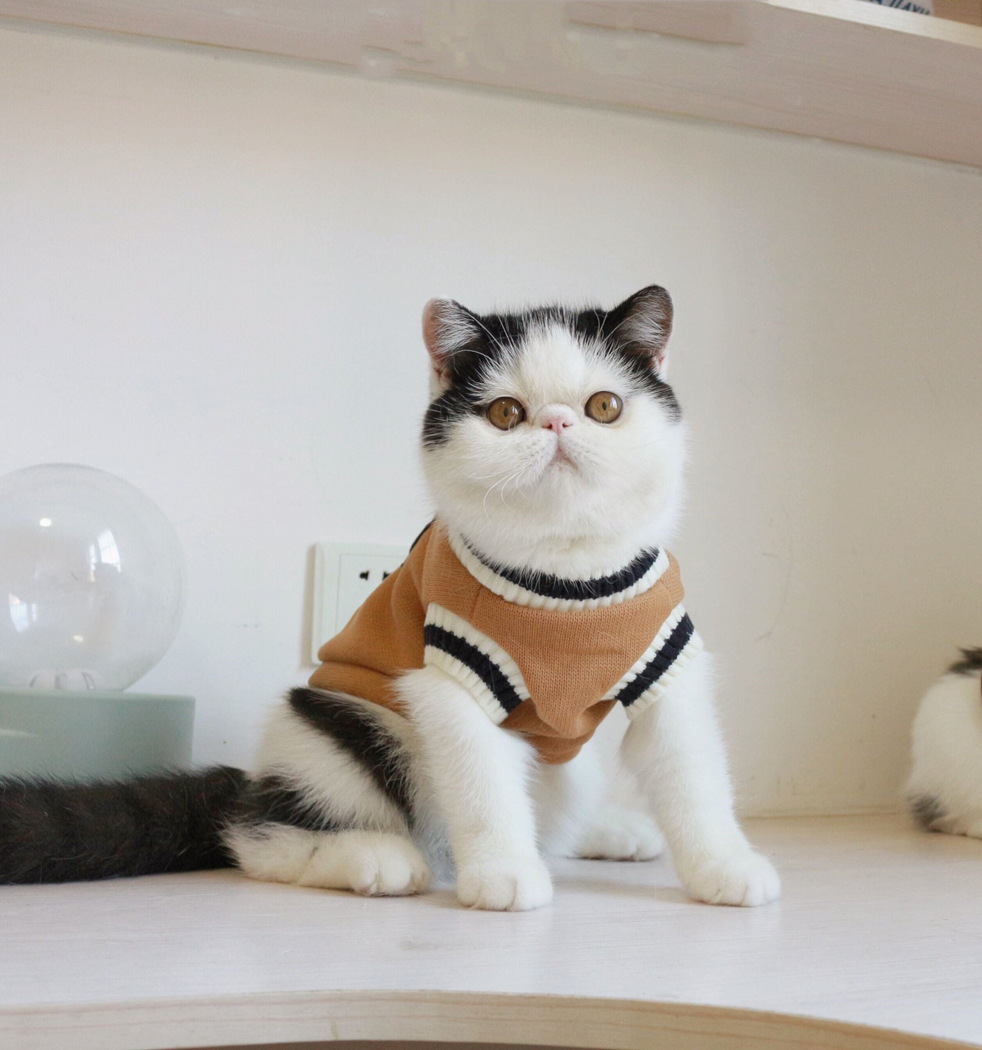 KFX-5041341 Fashionable Fleece Cat Knit Sweater Vest in Green, Khaki, and Wine Red – Sizes S to 3XL