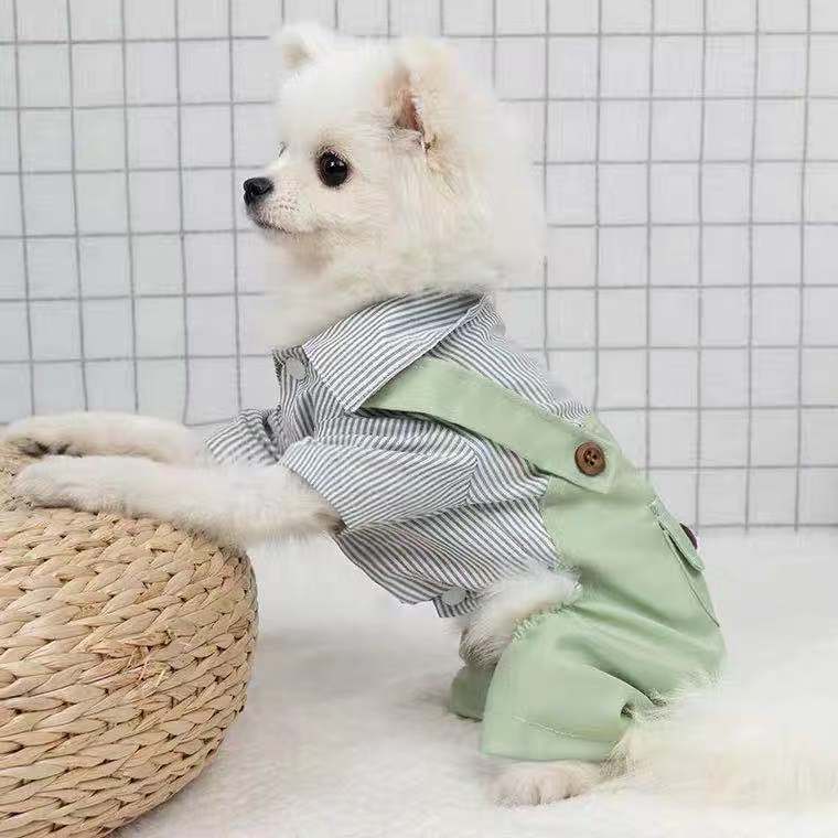 KFX-5042109 Light Green Polyester Four-Legged Clothing for Pets - Spring & Autumn Wear