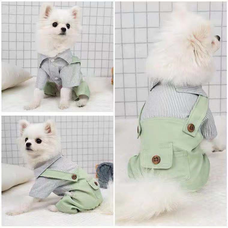 KFX-5042109 Light Green Polyester Four-Legged Clothing for Pets - Spring & Autumn Wear