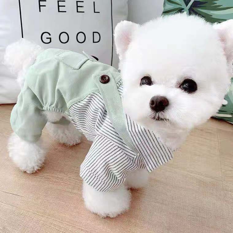 KFX-5042109 Light Green Polyester Four-Legged Clothing for Pets - Spring & Autumn Wear