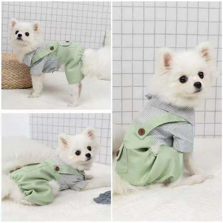 KFX-5042109 Light Green Polyester Four-Legged Clothing for Pets - Spring & Autumn Wear