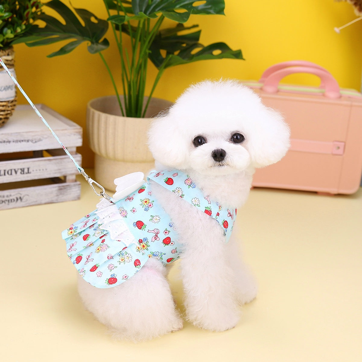 KFX-5047869 Princess-Style Pet Dress with Traction Buckle for Dogs - Blue and Yellow, Available in Multiple Sizes