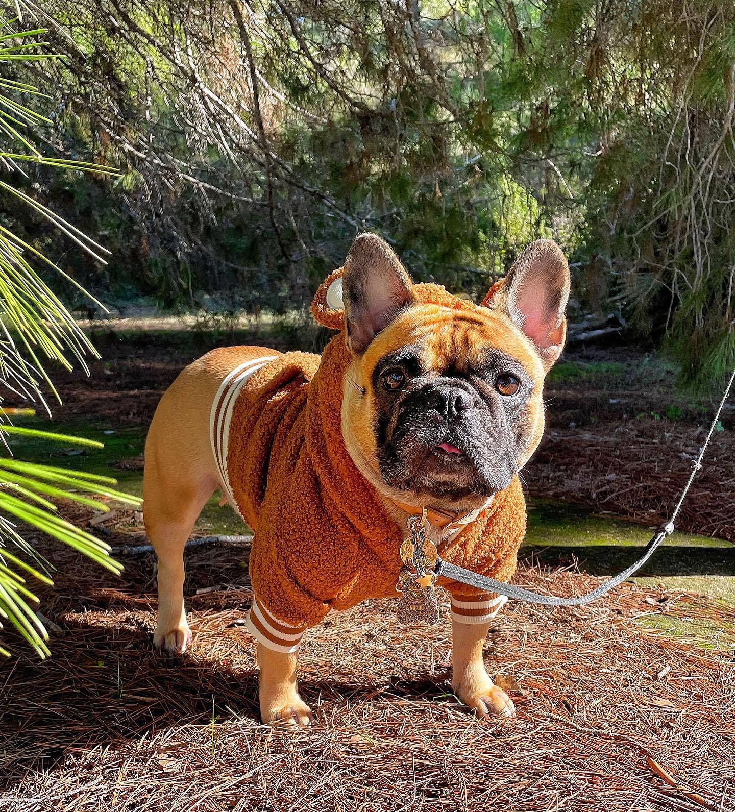 KFX-5052349 Warm & Cozy Ear-Standing Fleece-Lined Pet Sweater in Brown and Pink, Sizes M-2XL
