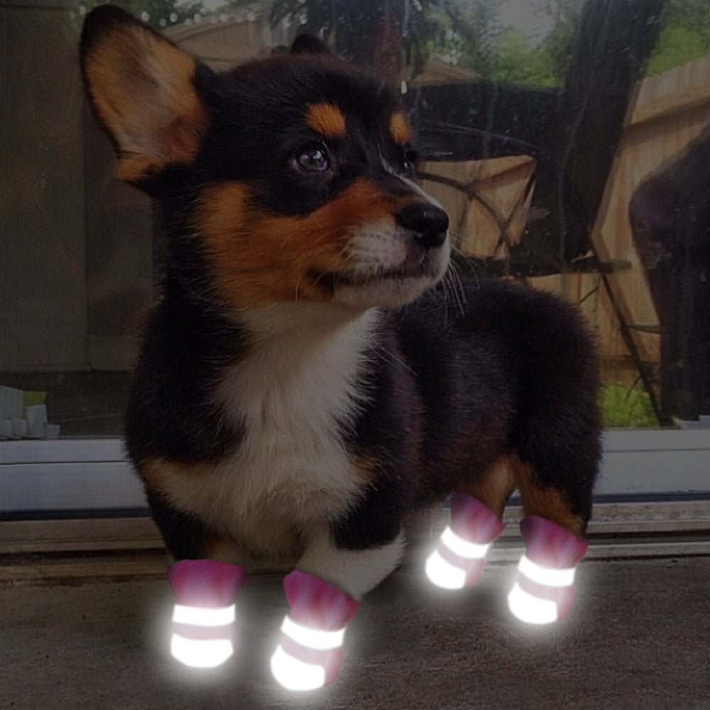 KFX-5053885 Comfortable Lightweight Dog Shoes - Stylish, Breathable Lycra Design with Various Color Options