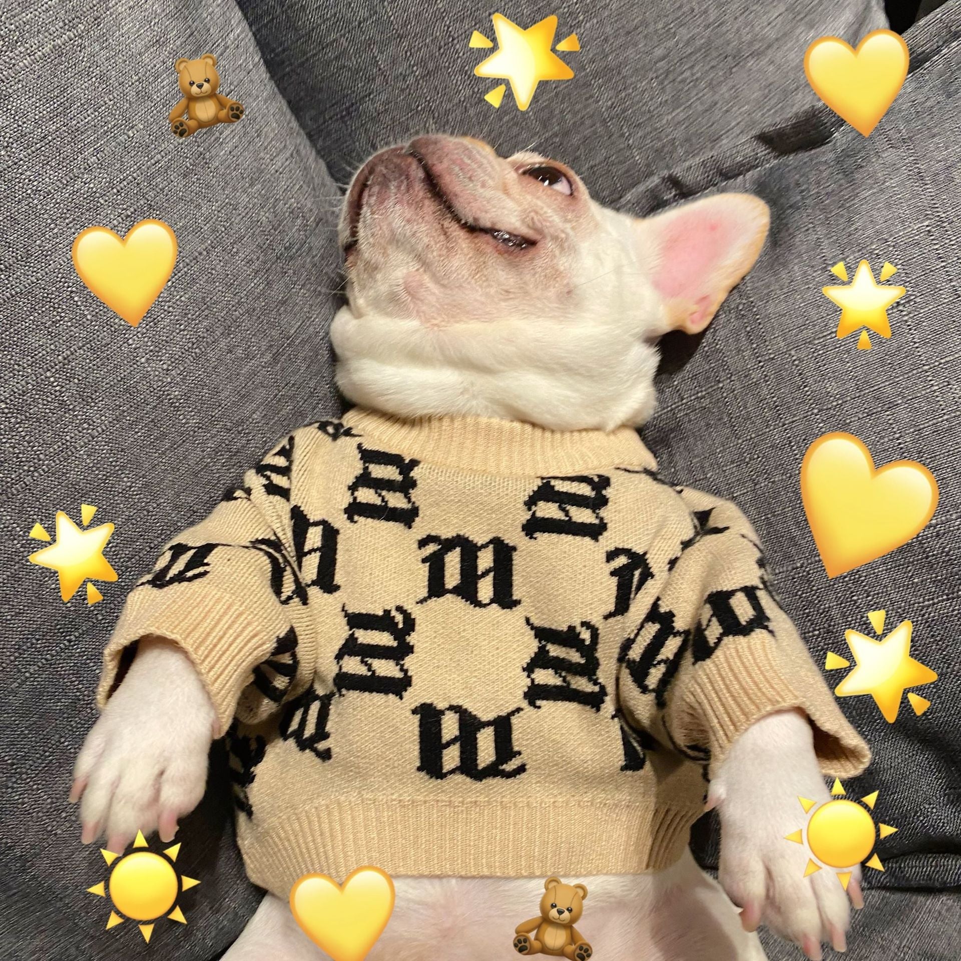 KFX-5060797 Cozy Yellow Wool Sweater for Schnauzer Dogs in Multiple Sizes