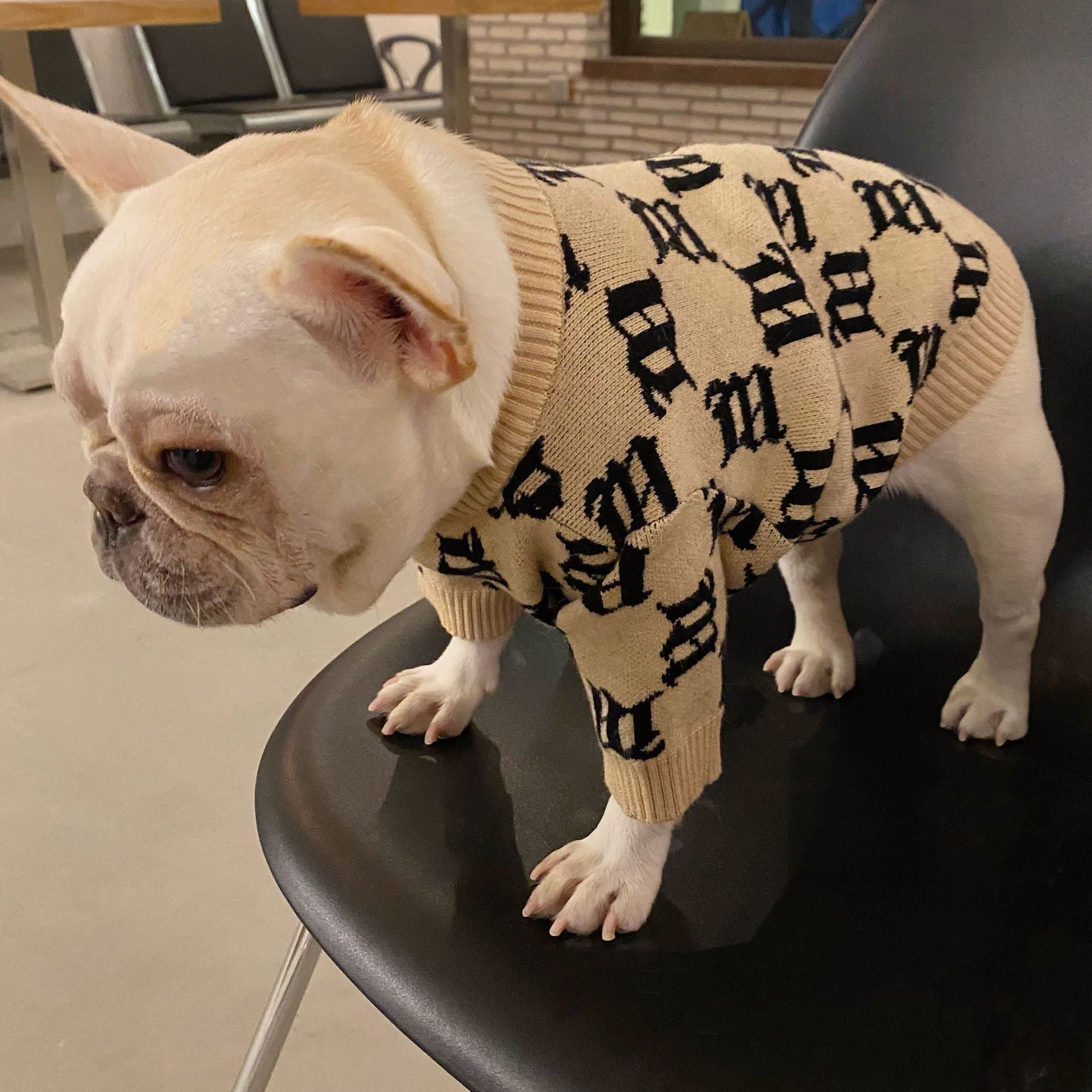KFX-5060797 Cozy Yellow Wool Sweater for Schnauzer Dogs in Multiple Sizes
