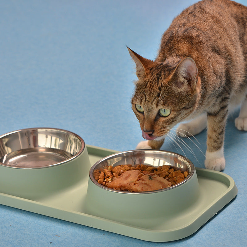 KFX-5062973 Non-slip Stainless Steel Double Bowl Pet Feeder with Plastic Base