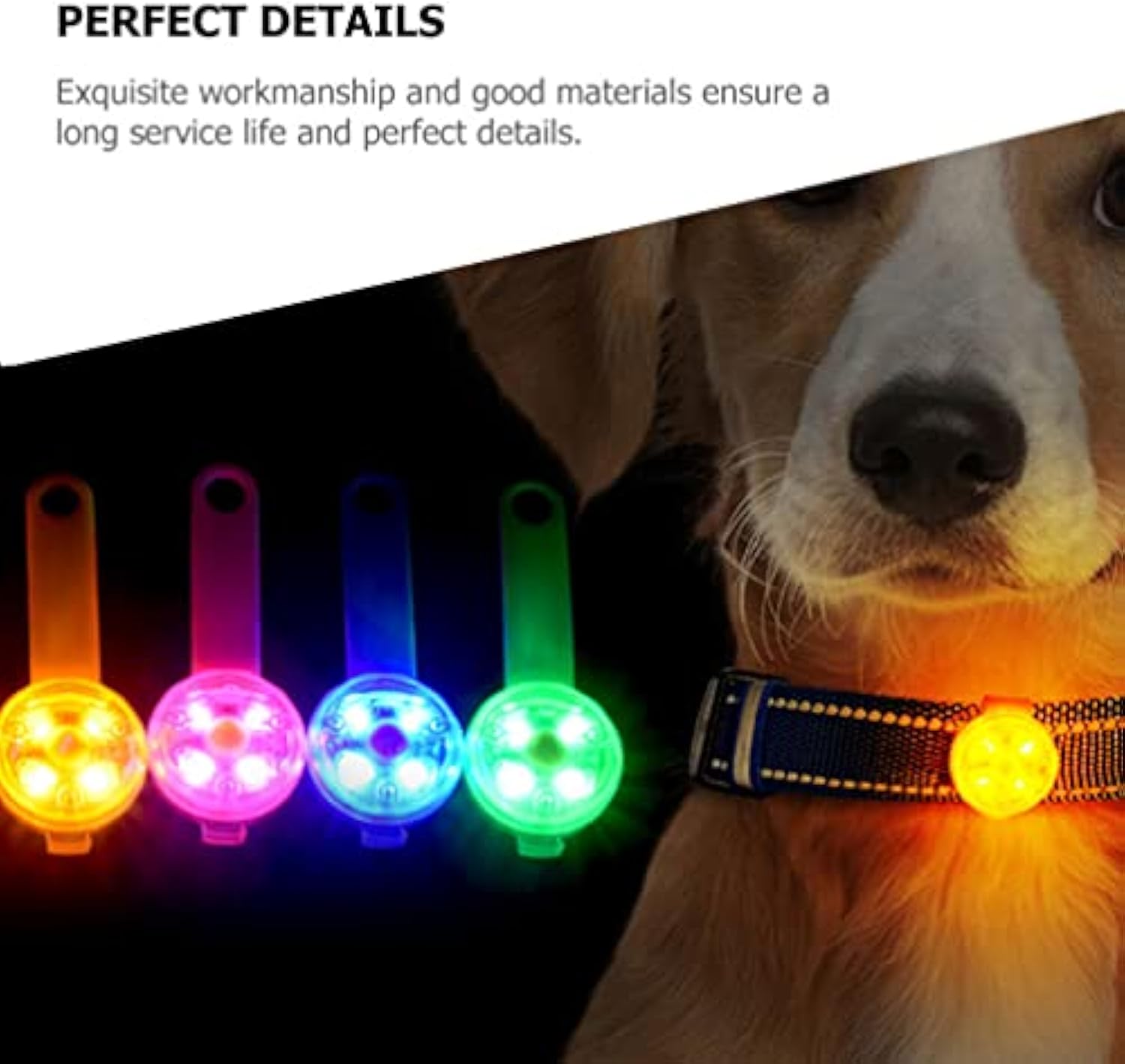 KFX-5064253 Luminous LED Pet Pendant Light for Safety and Visibility during Night Walks