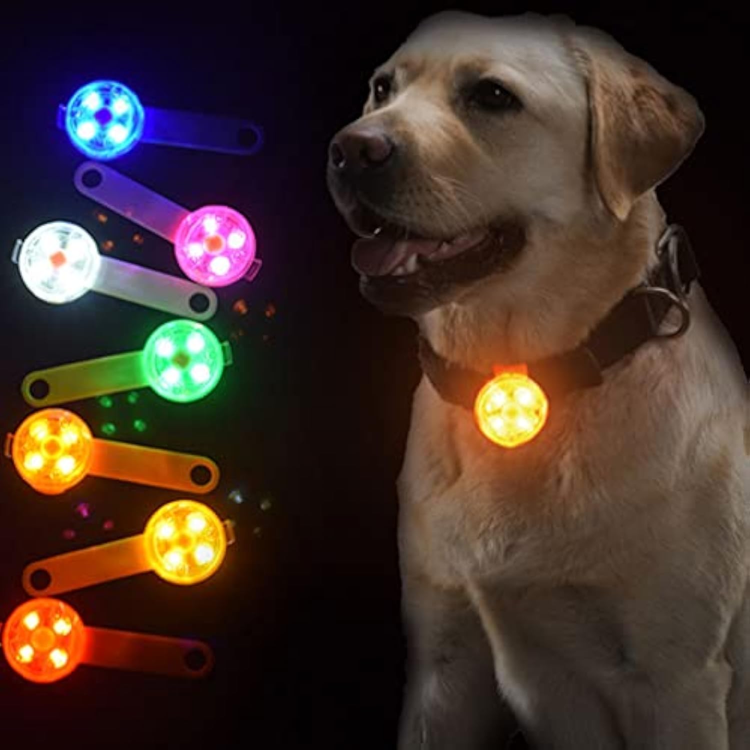 KFX-5064253 Luminous LED Pet Pendant Light for Safety and Visibility during Night Walks