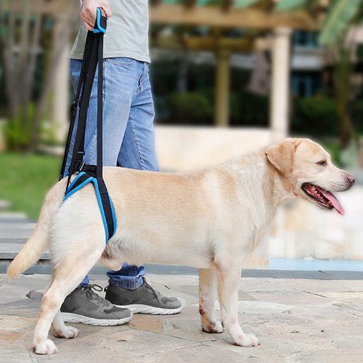 KFX-5067837 Adjustable Dog Hind Leg Support Harness for Easy Walking and Mobility