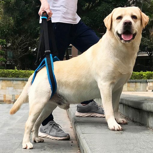 KFX-5067837 Adjustable Dog Hind Leg Support Harness for Easy Walking and Mobility
