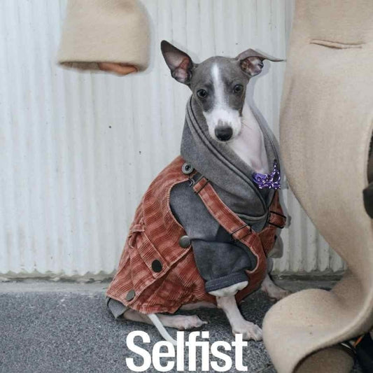 KFX-5074109 Trendy Denim Blue, Rust Red, and Military Green Vest for Dogs with Adjustable Elastic Harness, Sizes 3-5