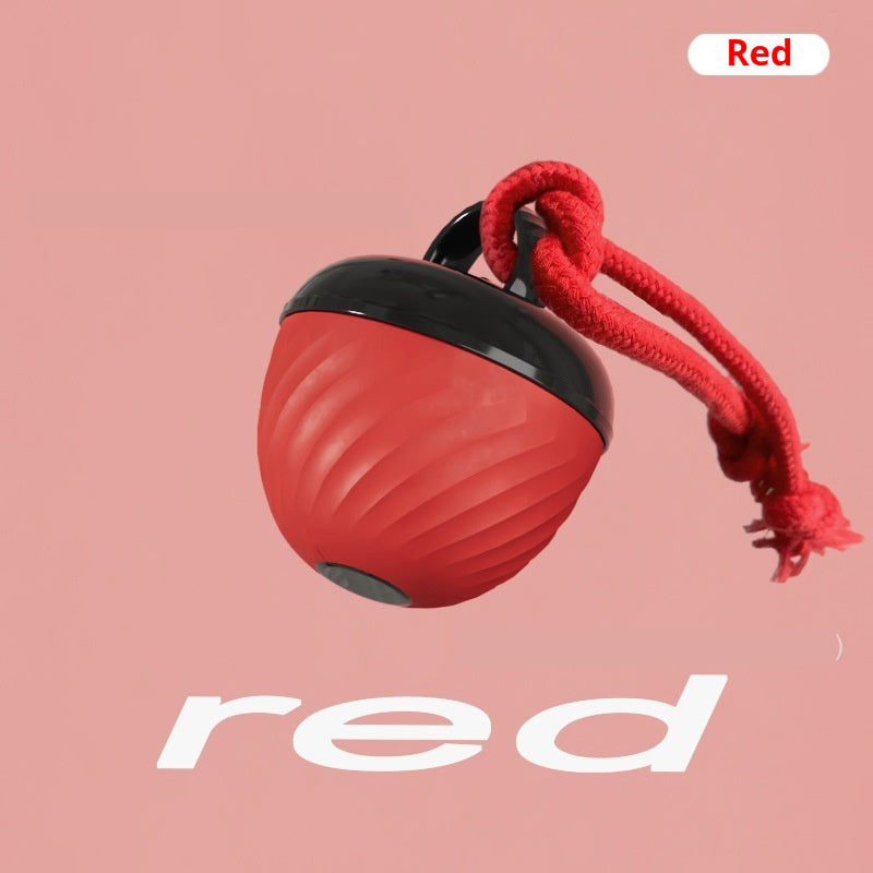 KFX-5076925 Durable Chew-Resistant Dog Toy Ball for Teething Relief and Playtime Fun