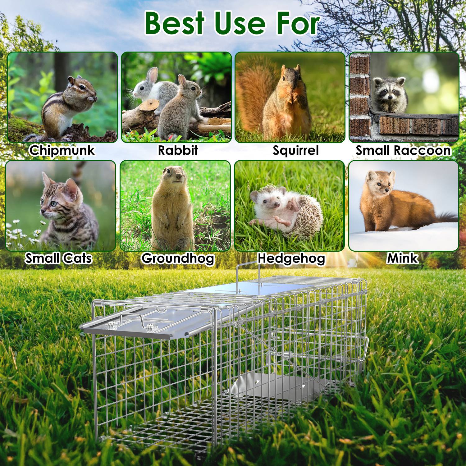 KFX-5077949 24-Inch Folding Humane Animal Trap Cage for Small Pets, Galvanized Steel Construction, Easy Setup and Release