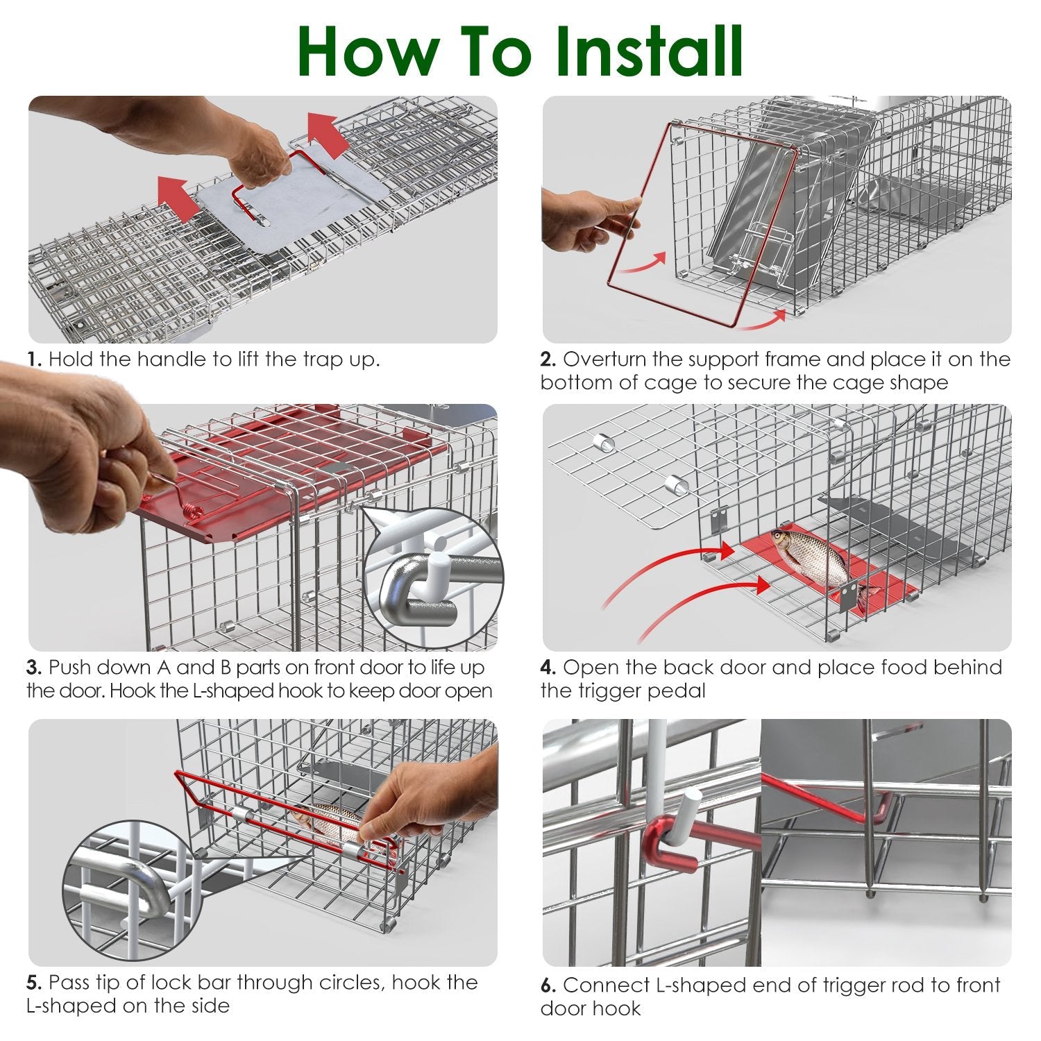 KFX-5077949 24-Inch Folding Humane Animal Trap Cage for Small Pets, Galvanized Steel Construction, Easy Setup and Release