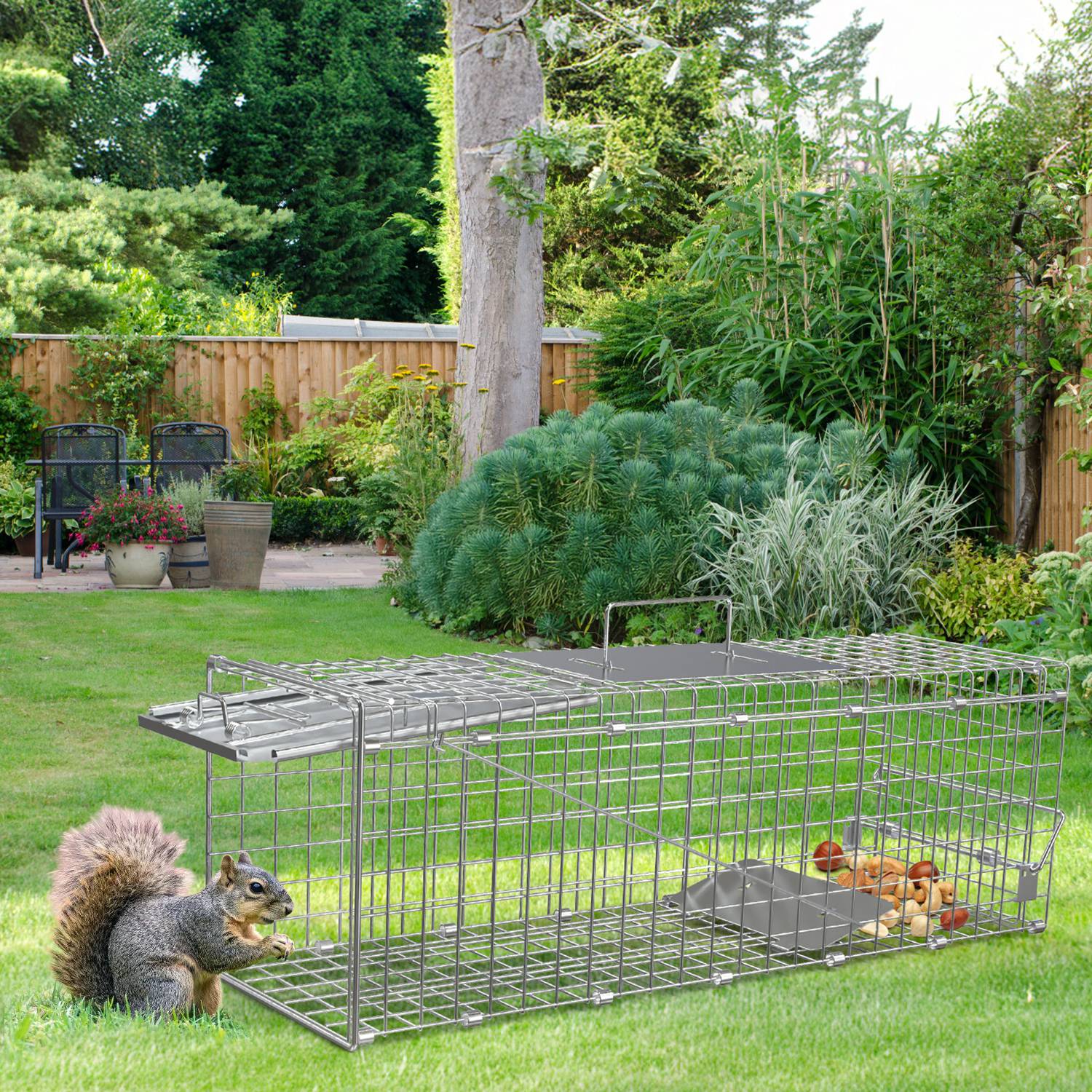 KFX-5077949 24-Inch Folding Humane Animal Trap Cage for Small Pets, Galvanized Steel Construction, Easy Setup and Release