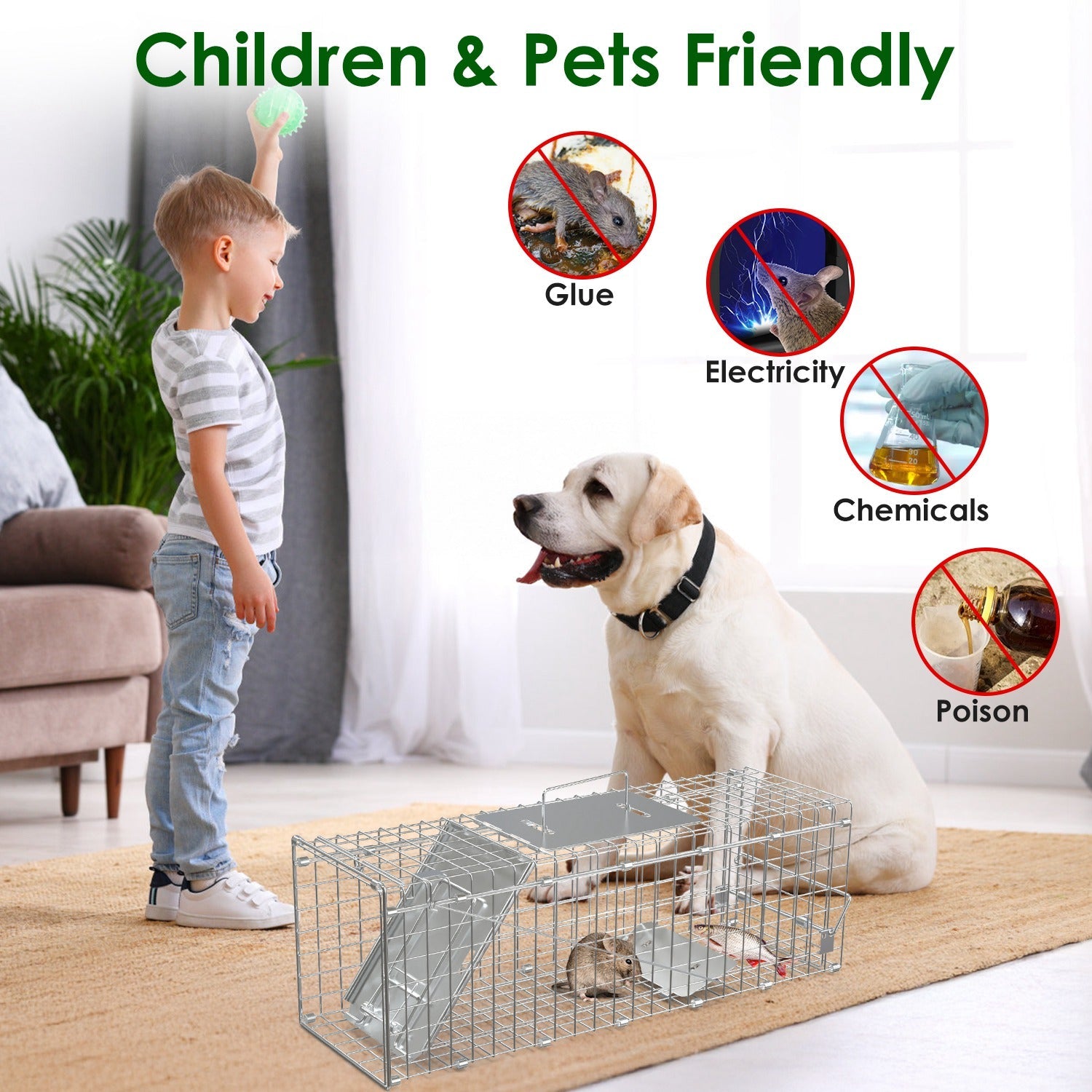 KFX-5077949 24-Inch Folding Humane Animal Trap Cage for Small Pets, Galvanized Steel Construction, Easy Setup and Release