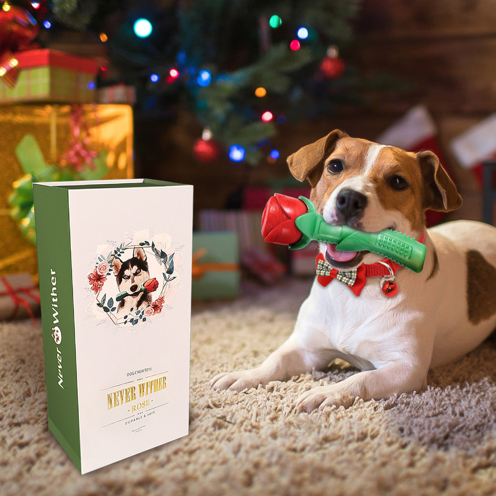 KFX-5079101 Red TPE Molar Stick Dog Toy in Gift Box for Chewing and Playtime
